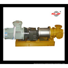 Internal Gear Pump with Magnetic Coupling (NYP30)